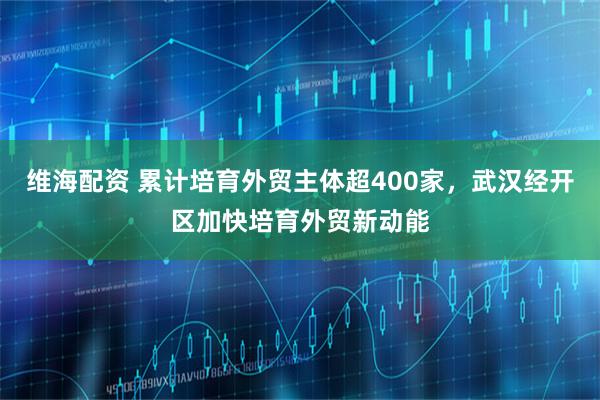 维海配资 累计培育外贸主体超400家，武汉经开区加快培育外贸新动能