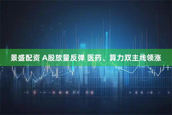 景盛配资 A股放量反弹 医药、算力双主线领涨